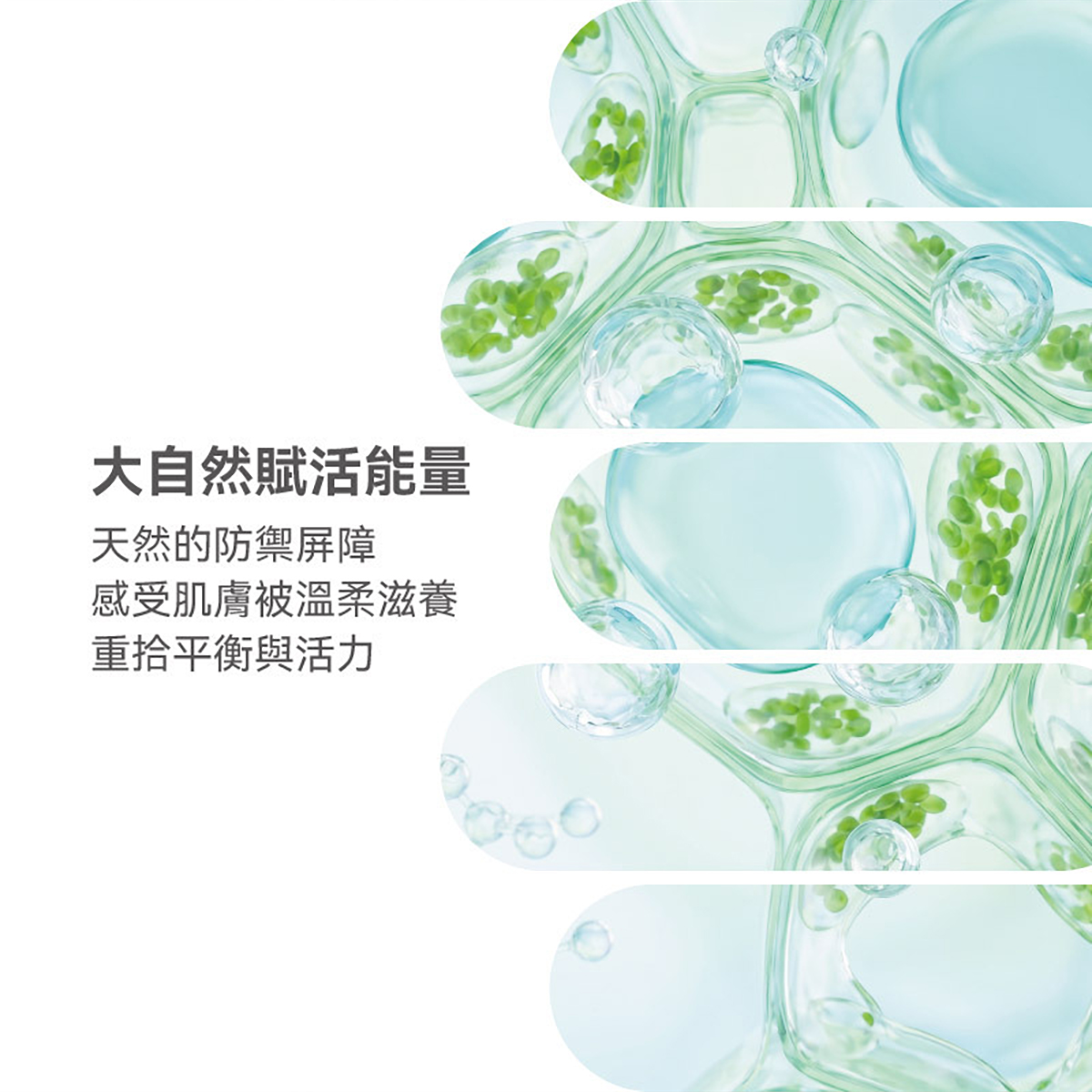 下載 (1) 02