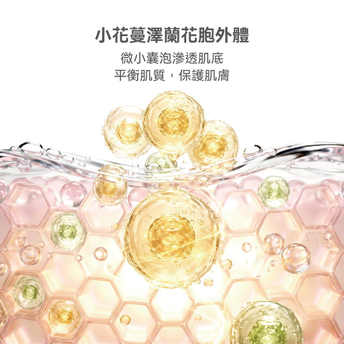 下載 (1) 04
