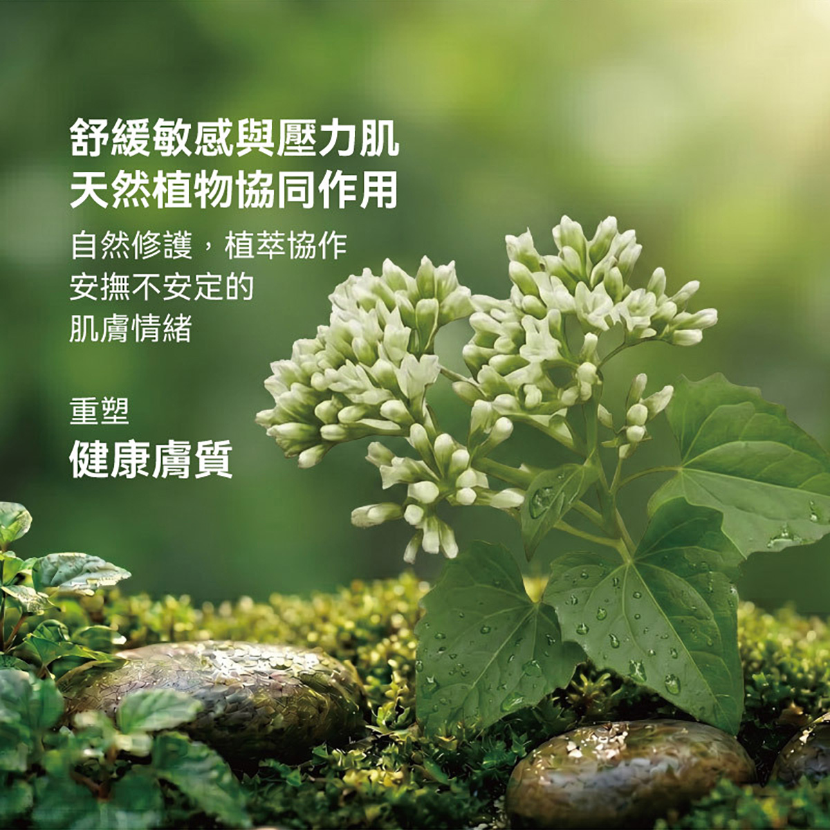 下載 (1) 05