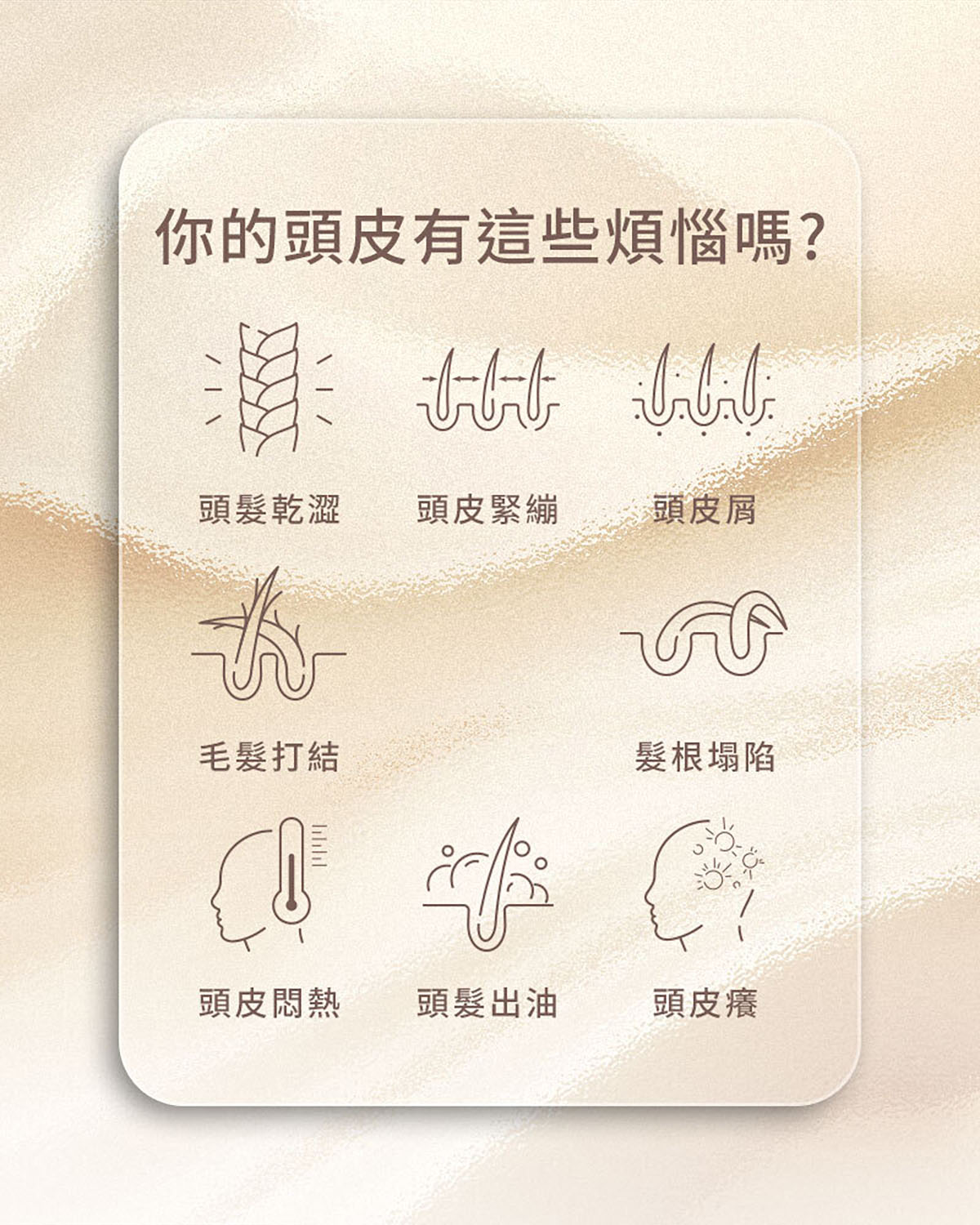 可可洗髮 2